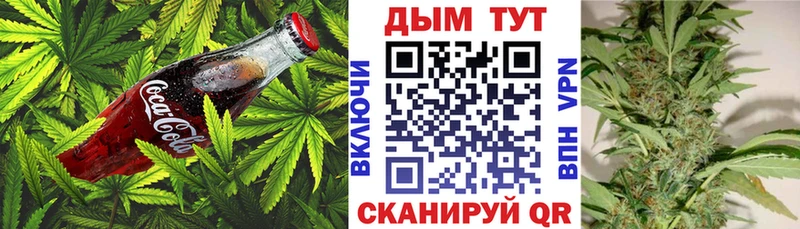 Canna-Cookies марихуана  Тетюши 