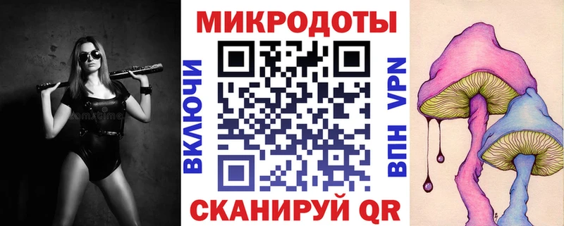 Псилоцибиновые грибы мицелий гидра как войти Тетюши