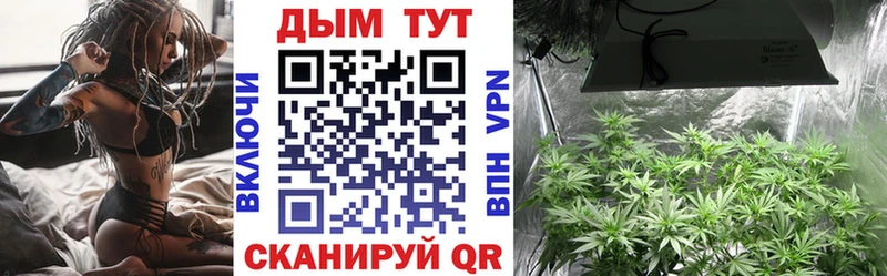 Бошки Шишки планчик  Тетюши 